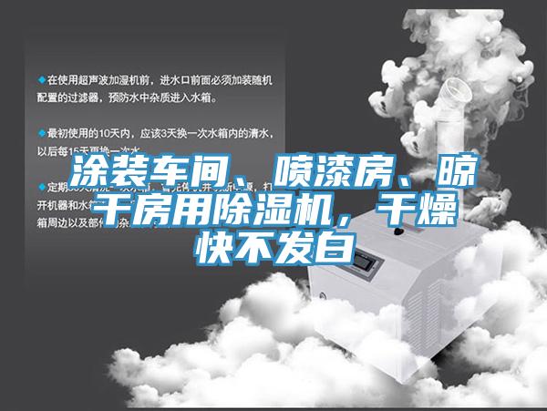 涂裝車間、噴漆房、晾干房用除濕機(jī)，干燥快不發(fā)白