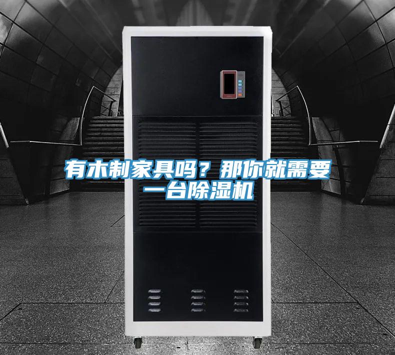 有木制家具嗎？那你就需要一臺(tái)除濕機(jī)