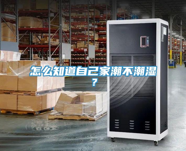 怎么知道自己家潮不潮濕？
