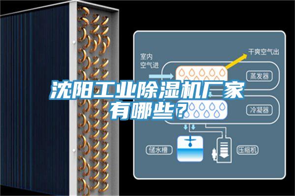 沈陽(yáng)工業(yè)除濕機(jī)廠家有哪些？