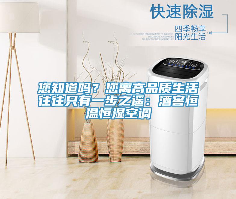 您知道嗎？您離高品質(zhì)生活往往只有一步之遙：酒窖恒溫恒濕空調(diào)