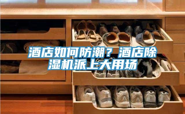 酒店如何防潮？酒店除濕機派上大用場
