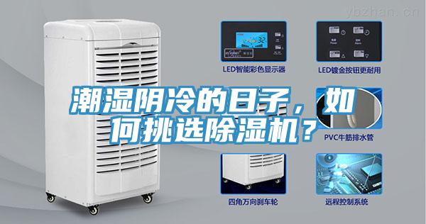 潮濕陰冷的日子，如何挑選除濕機？