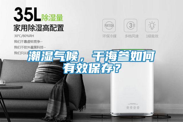 潮濕氣候，干海參如何有效保存？