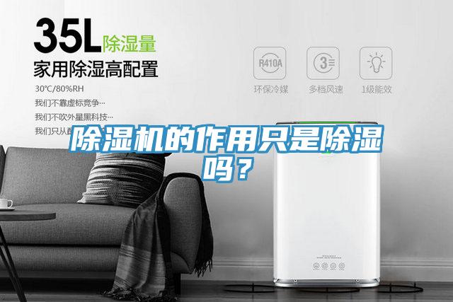 除濕機(jī)的作用只是除濕嗎？
