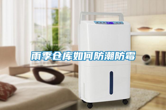 雨季倉(cāng)庫如何防潮防霉