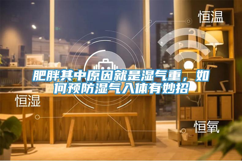 肥胖其中原因就是濕氣重，如何預(yù)防濕氣入體有妙招
