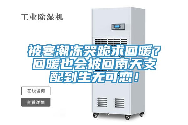 被寒潮凍哭跪求回暖？回暖也會被回南天支配到生無可戀！