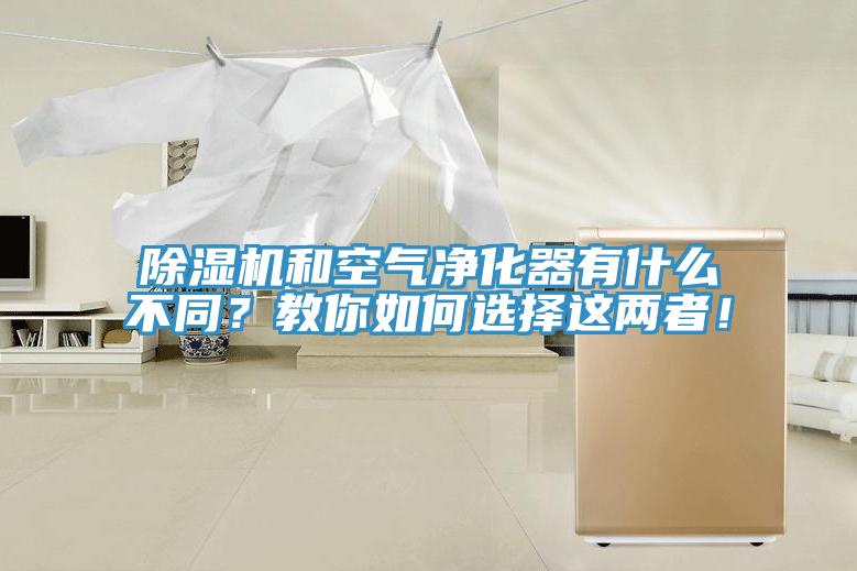 除濕機(jī)和空氣凈化器有什么不同？教你如何選擇這兩者！