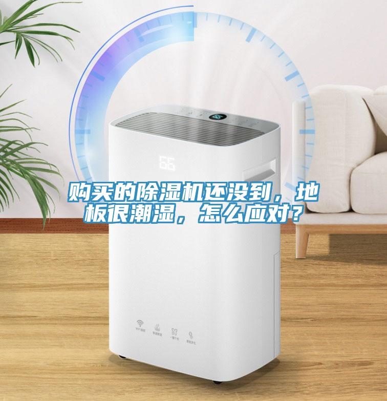 購(gòu)買的除濕機(jī)還沒到，地板很潮濕，怎么應(yīng)對(duì)？