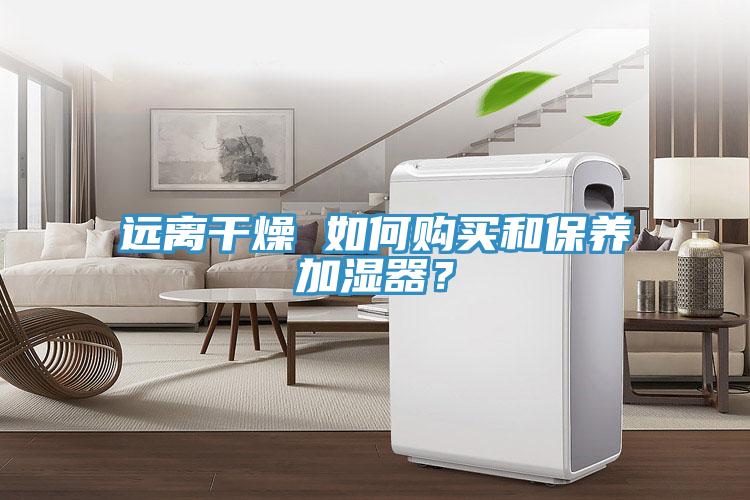 遠(yuǎn)離干燥 如何購買和保養(yǎng)加濕器？