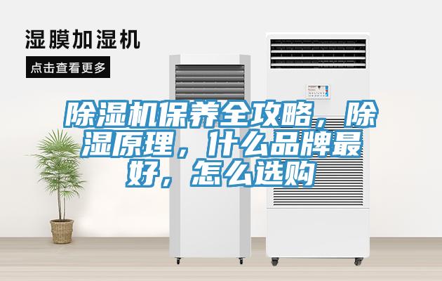 除濕機(jī)保養(yǎng)全攻略，除濕原理，什么品牌最好，怎么選購(gòu)