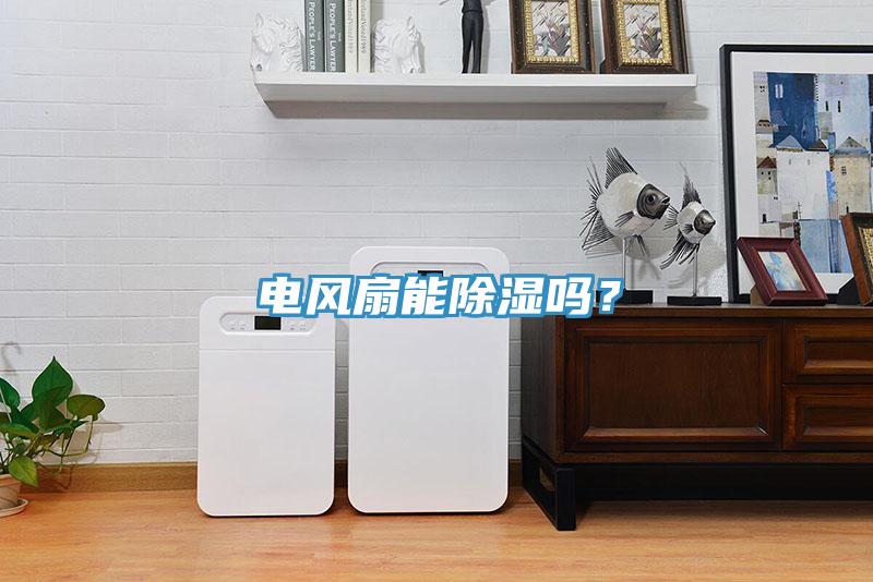 電風(fēng)扇能除濕嗎？