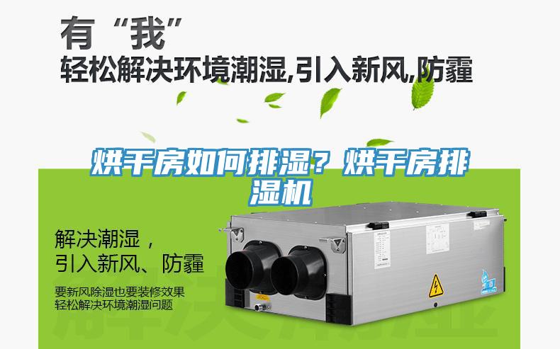 烘干房如何排濕？烘干房排濕機