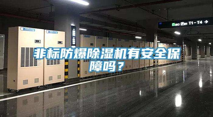 非標防爆除濕機有安全保障嗎？