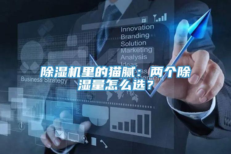除濕機(jī)里的貓膩：兩個除濕量怎么選？