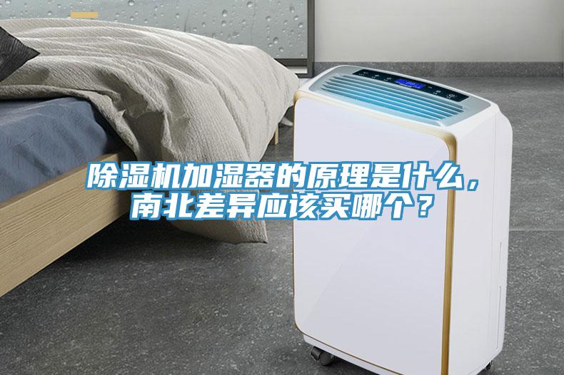 除濕機加濕器的原理是什么，南北差異應(yīng)該買哪個？