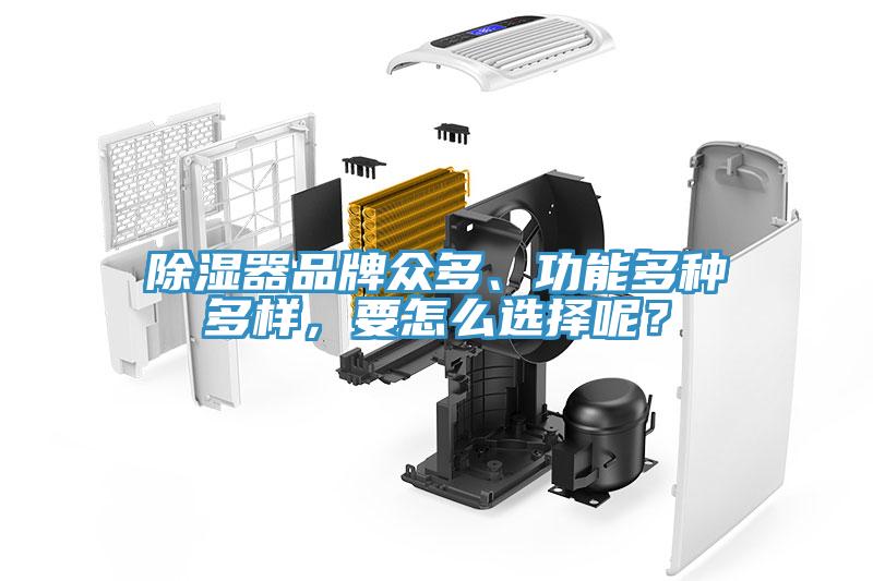 除濕器品牌眾多、功能多種多樣，要怎么選擇呢？