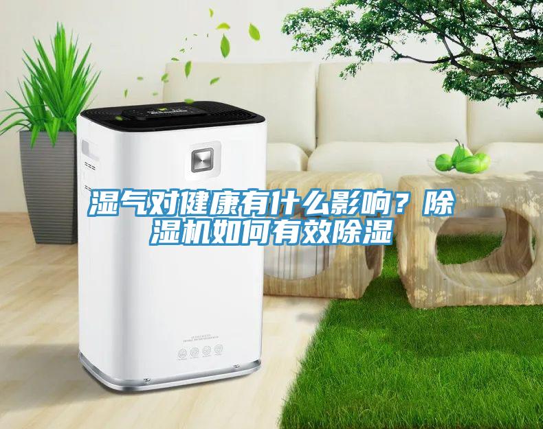 濕氣對(duì)健康有什么影響？除濕機(jī)如何有效除濕