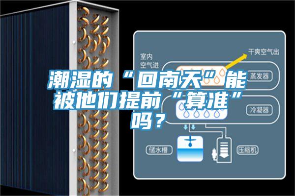 潮濕的“回南天”能被他們提前“算準”嗎？
