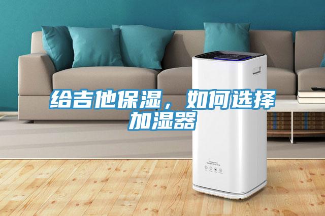 給吉他保濕，如何選擇加濕器