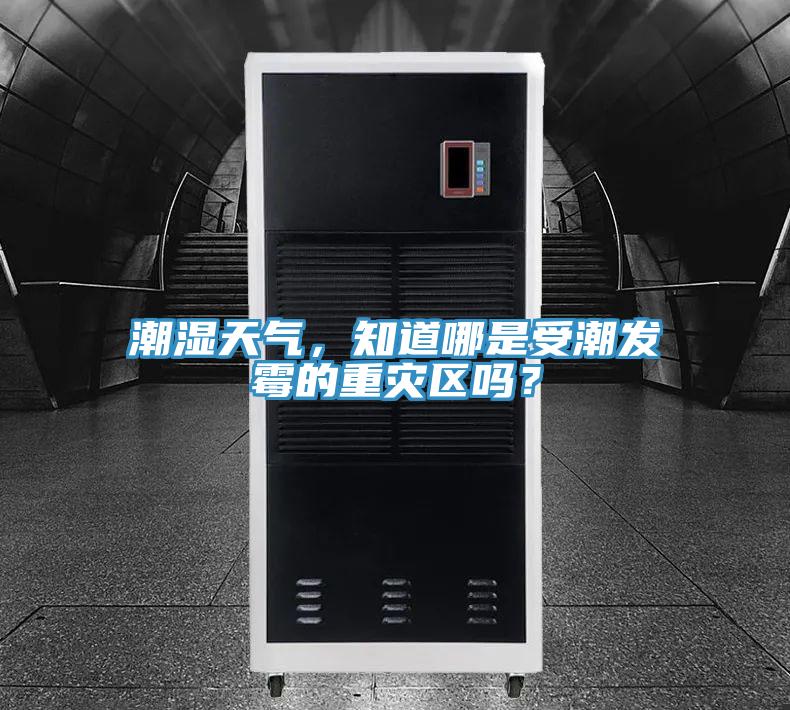 潮濕天氣，知道哪是受潮發(fā)霉的重災區(qū)嗎？