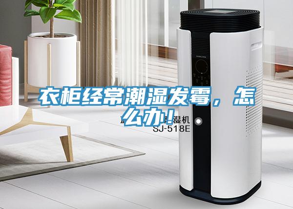 衣柜經(jīng)常潮濕發(fā)霉，怎么辦！