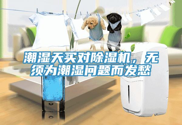潮濕天買(mǎi)對(duì)除濕機(jī)，無(wú)須為潮濕問(wèn)題而發(fā)愁
