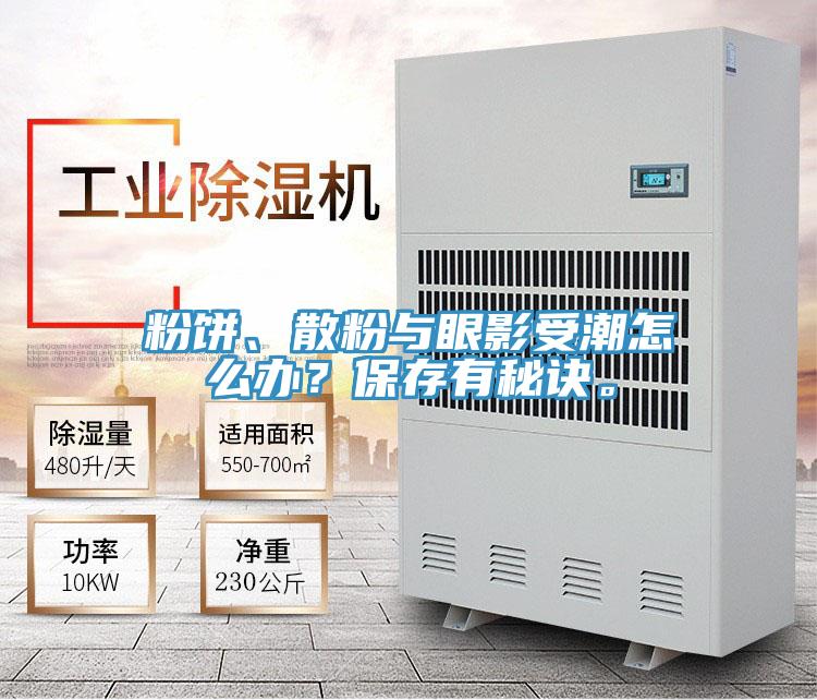 粉餅、散粉與眼影受潮怎么辦？保存有秘訣。