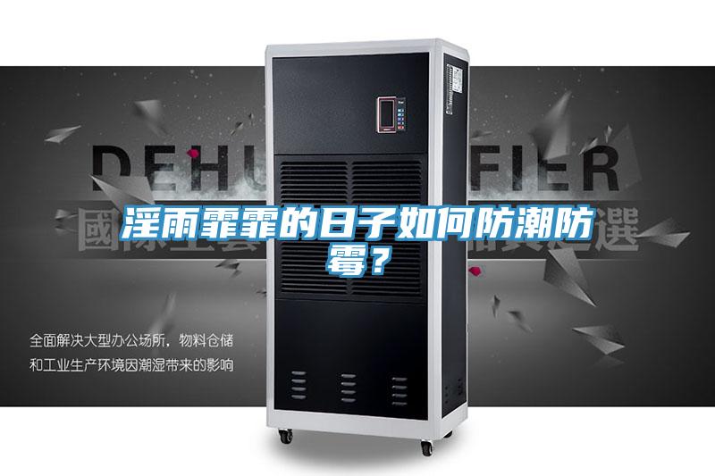 淫雨霏霏的日子如何防潮防霉？