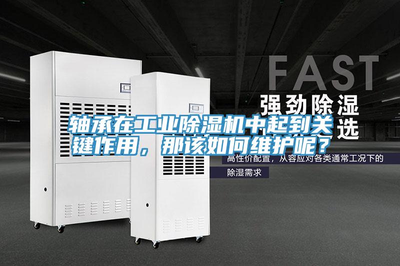 軸承在工業(yè)除濕機(jī)中起到關(guān)鍵作用，那該如何維護(hù)呢？