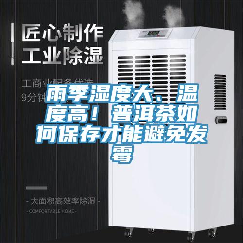 雨季濕度大、溫度高！普洱茶如何保存才能避免發(fā)霉