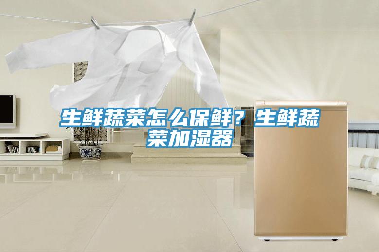 生鮮蔬菜怎么保鮮？生鮮蔬菜加濕器