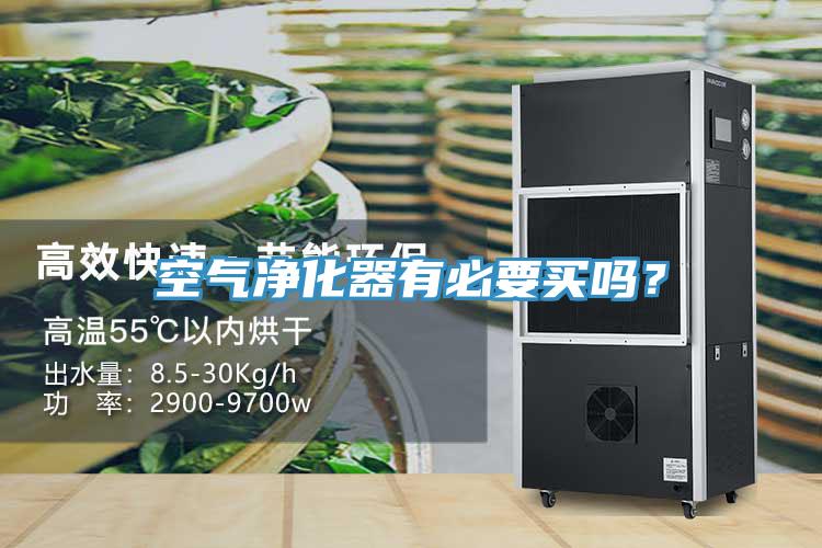 空氣凈化器有必要買嗎？