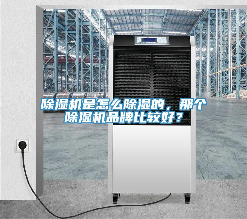 除濕機是怎么除濕的，那個除濕機品牌比較好？