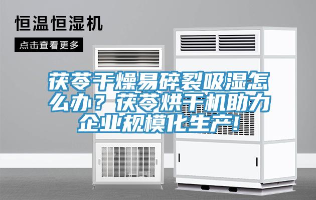 茯苓干燥易碎裂吸濕怎么辦？茯苓烘干機(jī)助力企業(yè)規(guī)?；a(chǎn)!