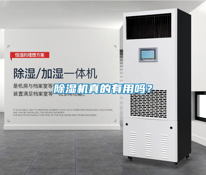 除濕機真的有用嗎？