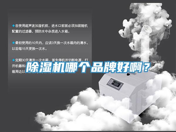 除濕機哪個品牌好?。?></div>
								<div   id=