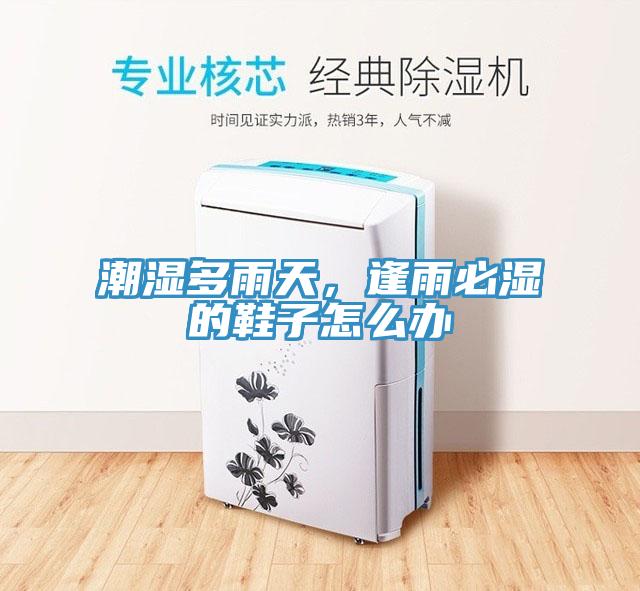 潮濕多雨天，逢雨必濕的鞋子怎么辦