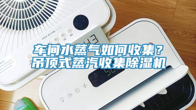 車間水蒸氣如何收集？吊頂式蒸汽收集除濕機(jī)