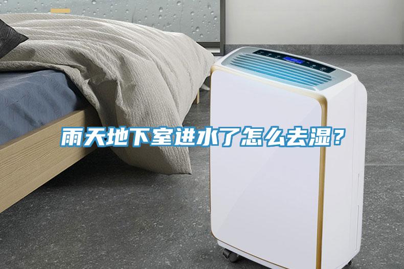 雨天地下室進(jìn)水了怎么去濕？