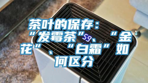 茶葉的保存：“發(fā)霉茶”、“金花”、“白霜”如何區(qū)分