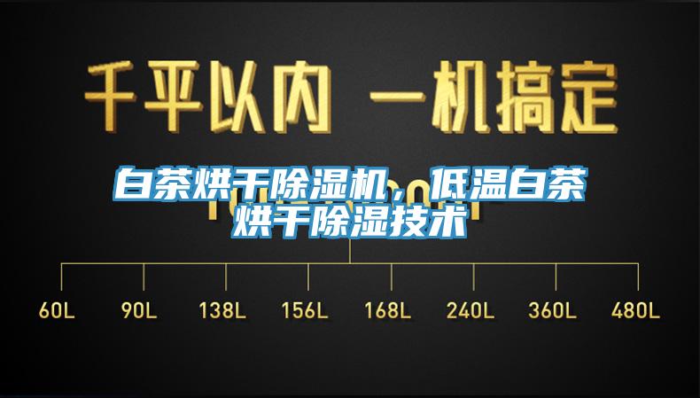 白茶烘干除濕機(jī)，低溫白茶烘干除濕技術(shù)