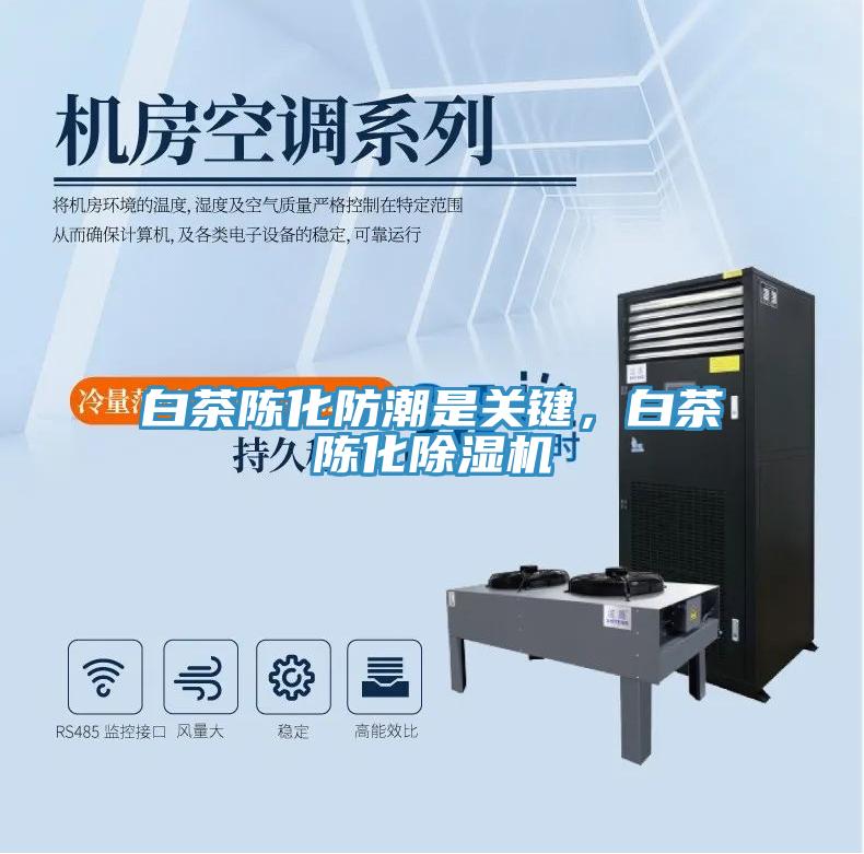 白茶陳化防潮是關(guān)鍵，白茶陳化除濕機(jī)