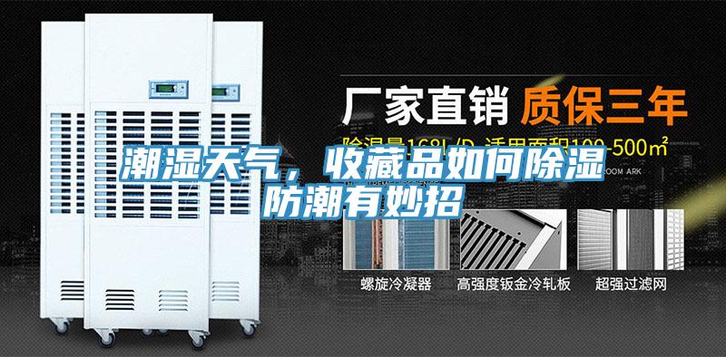 潮濕天氣，收藏品如何除濕防潮有妙招