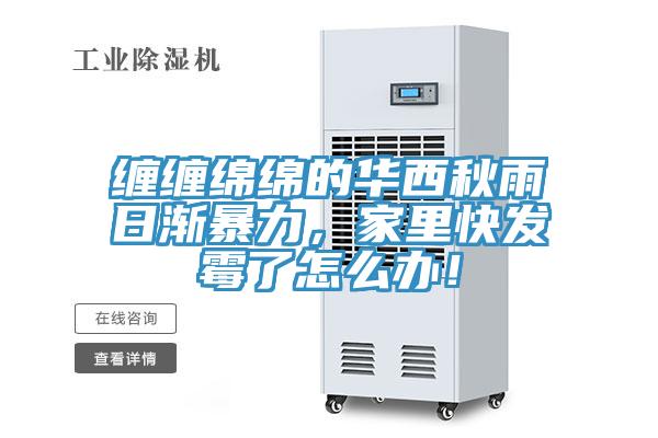 纏纏綿綿的華西秋雨日漸暴力，家里快發(fā)霉了怎么辦！