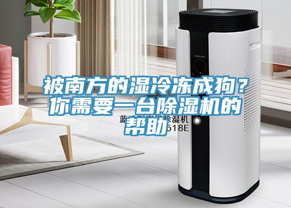 被南方的濕冷凍成狗？你需要一臺(tái)除濕機(jī)的幫助