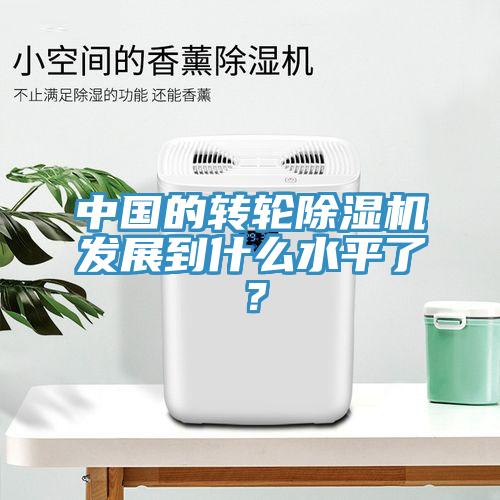 中國(guó)的轉(zhuǎn)輪除濕機(jī)發(fā)展到什么水平了？
