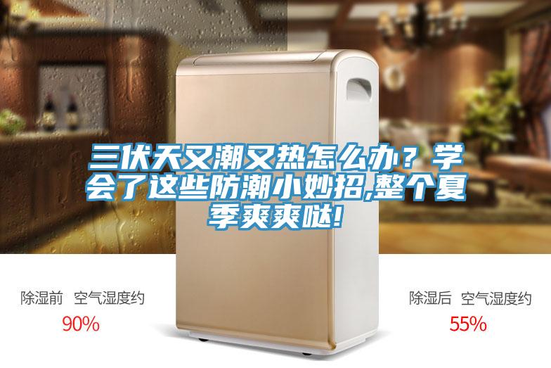 三伏天又潮又熱怎么辦？學(xué)會(huì)了這些防潮小妙招,整個(gè)夏季爽爽噠!