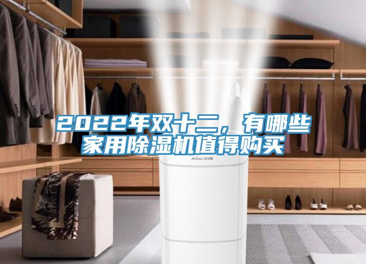 2022年雙十二，有哪些家用除濕機值得購買